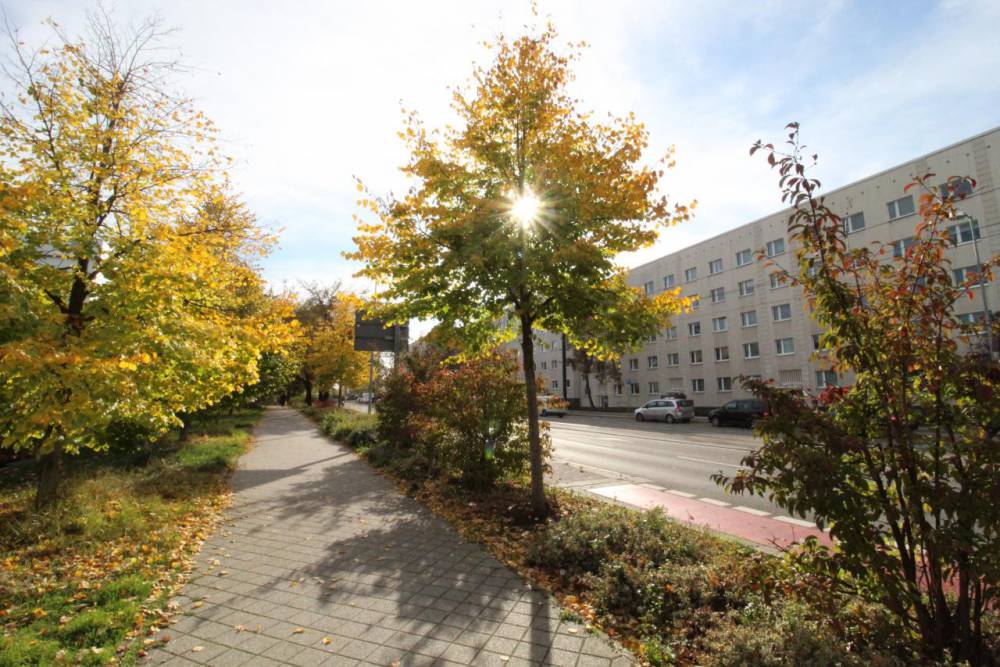 Wohnungen in Magdeburg WOBAU Magdeburg