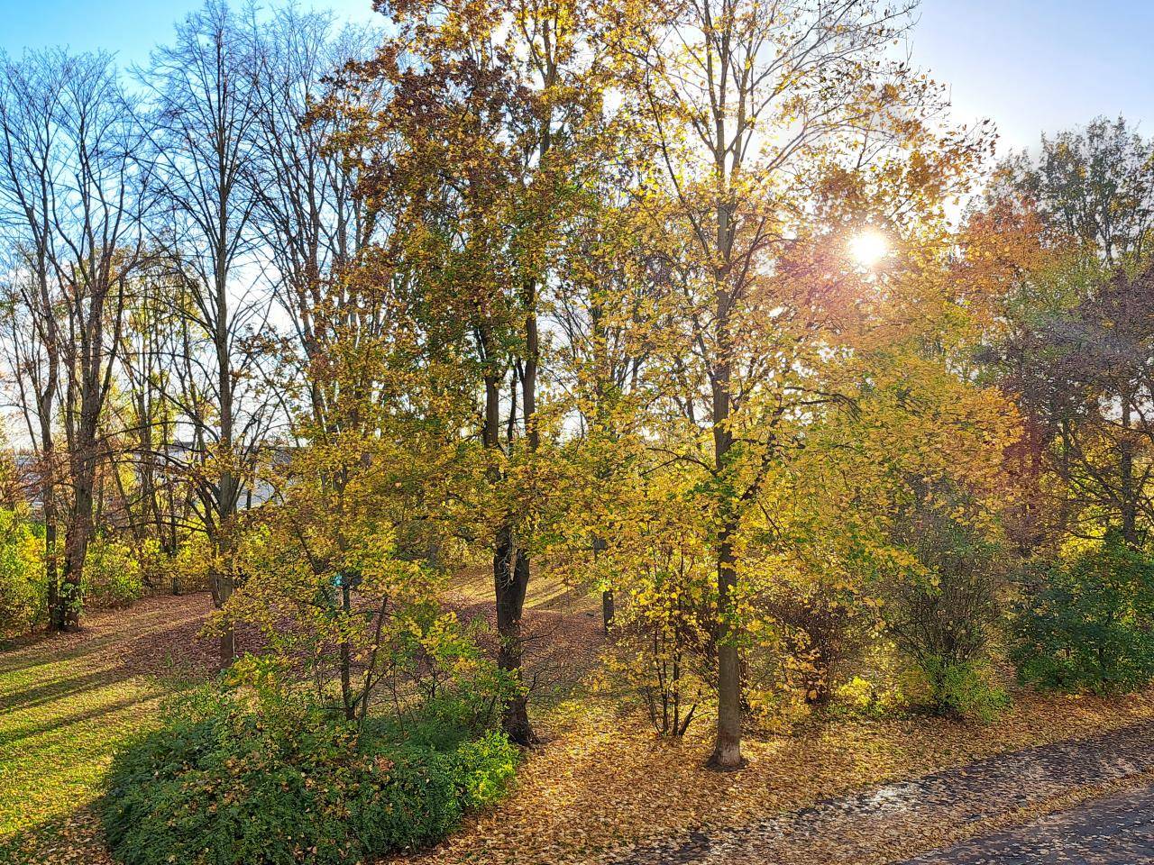 Hohendodeleber Str. // Aussicht
