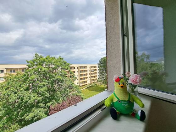 Aussicht