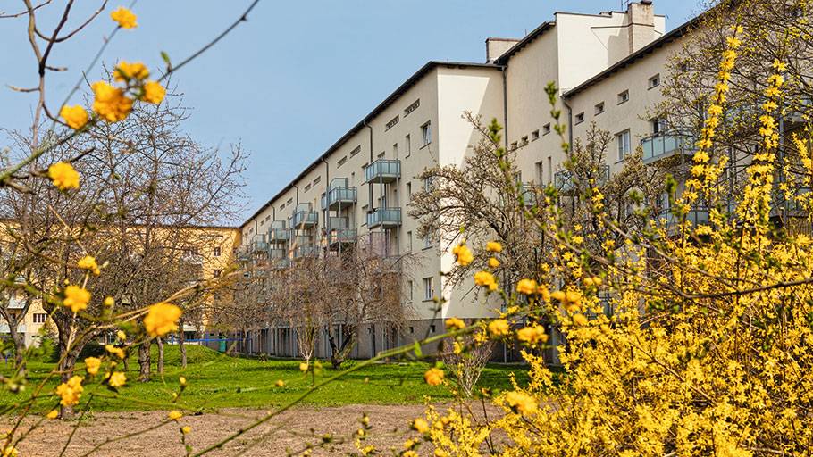 Grüner Hinterhof in der Reichelstraße